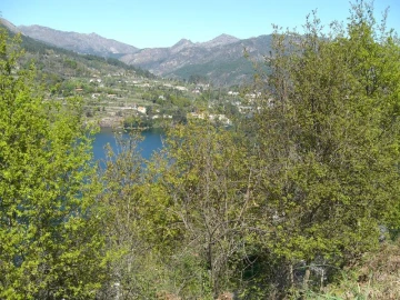 Terreno para Venda em Caniçada e Soengas