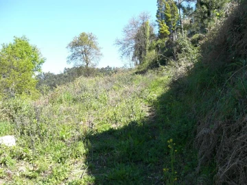 Terreno para Venda em Caniçada e Soengas