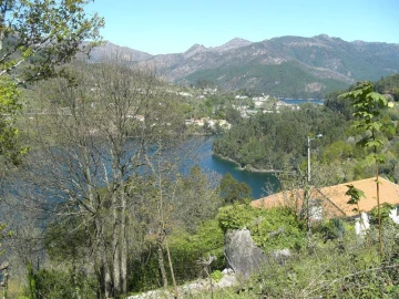 Terreno para Venda em Caniçada e Soengas