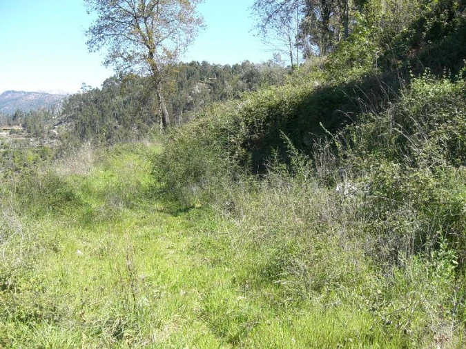 Terreno para Venda em Caniçada e Soengas Foto 11