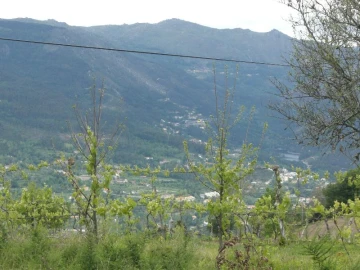 Terreno para Venda em Caniçada e Soengas