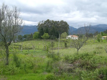 Terreno para Venda em Caniçada e Soengas