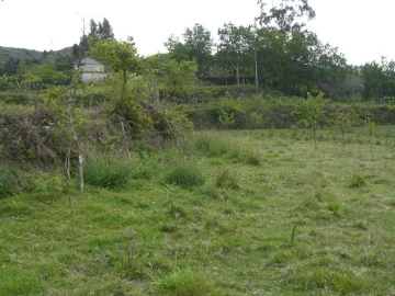 Terreno para Venda em Caniçada e Soengas