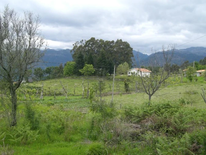 Terreno para Venda em Caniçada e Soengas Foto 3