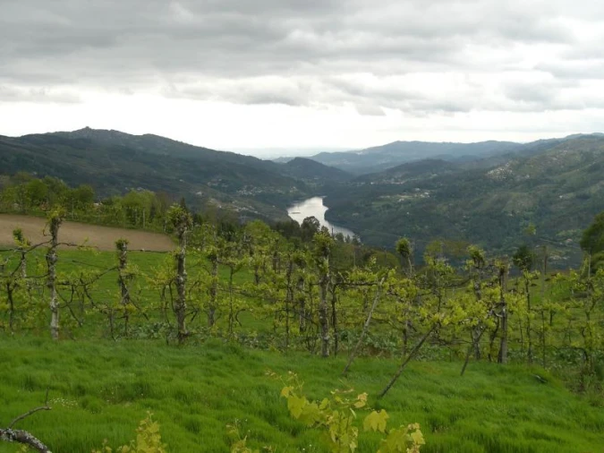 Terreno para Venda em Caniçada e Soengas Foto 6