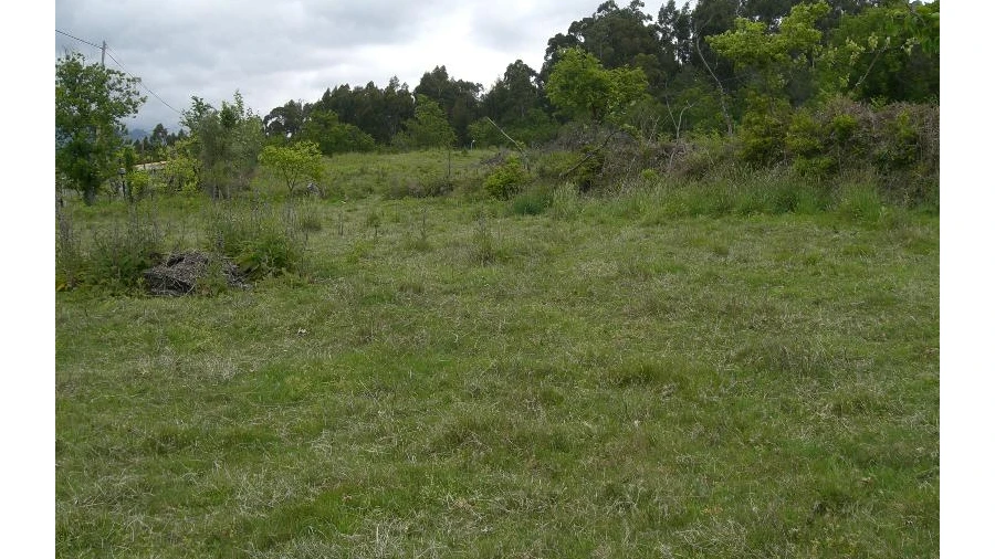 Terreno para Venda em Caniçada e Soengas