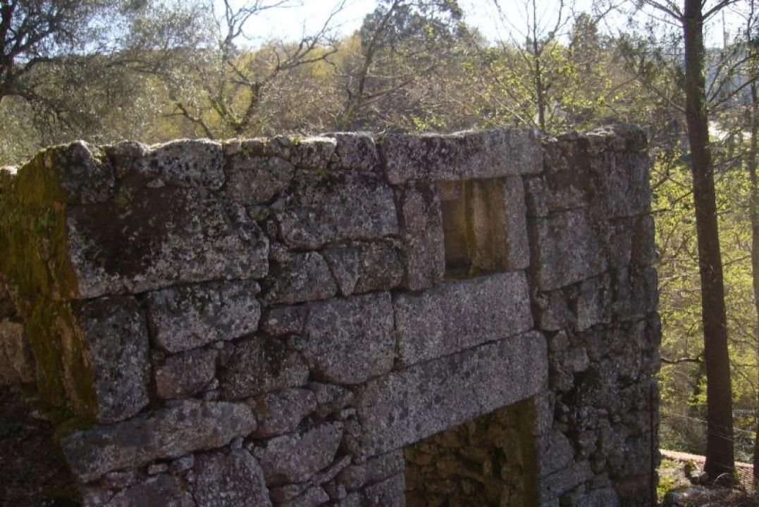 Negócio para Venda em Cantelães Foto 11