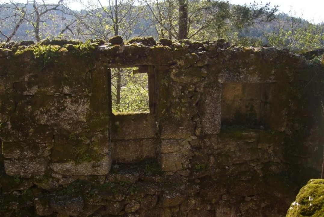 Negócio para Venda em Cantelães Foto 12
