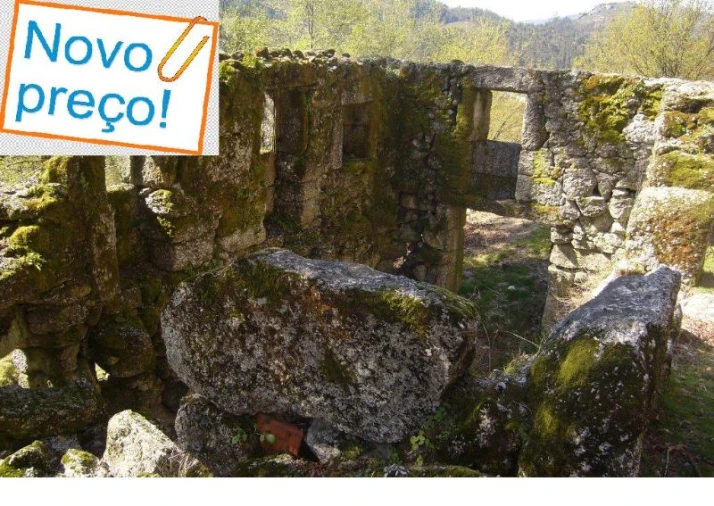 Negócio para Venda em Cantelães Foto 2