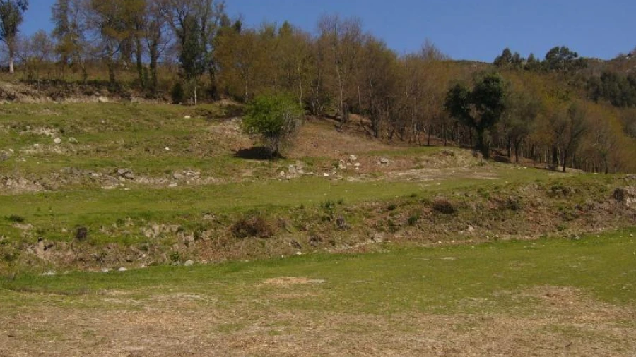 Terreno Agricola ou Rústico para Venda em Cantelães