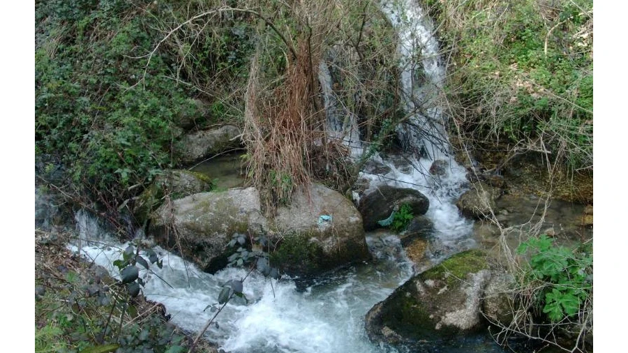 Terreno Agricola ou Rústico para Venda em Vieira do Minho