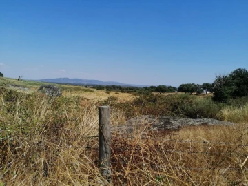 Terreno Agricola ou Rústico para Venda em Alpalhão
