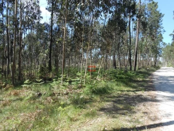 Terreno Misto para Venda em São Mamede