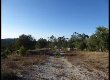 Terreno Misto para Venda em Fatima