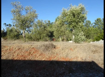 Terreno Misto para Venda em Fatima