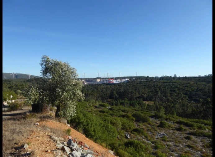 Terreno Misto para Venda em Fatima Foto 7