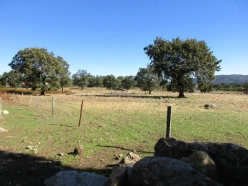 Terreno Agricola ou Rústico para Venda em São Salvador da Aramenha
