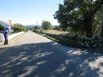 Terreno Agricola ou Rústico para Venda em São Salvador da Aramenha