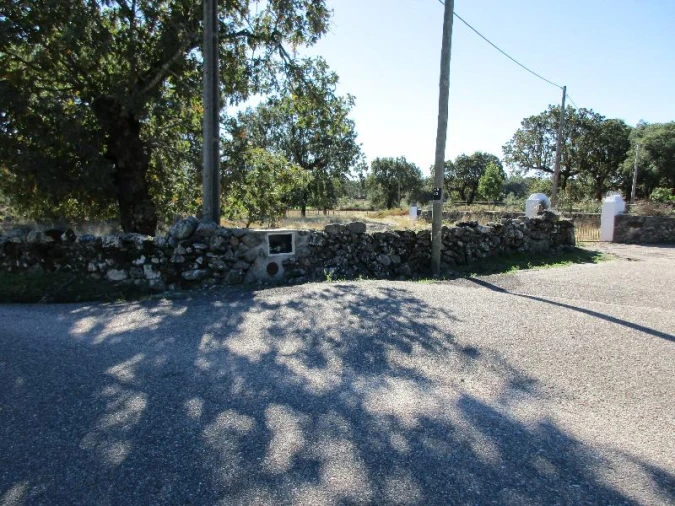 Terreno Agricola ou Rústico para Venda em São Salvador da Aramenha Foto 11