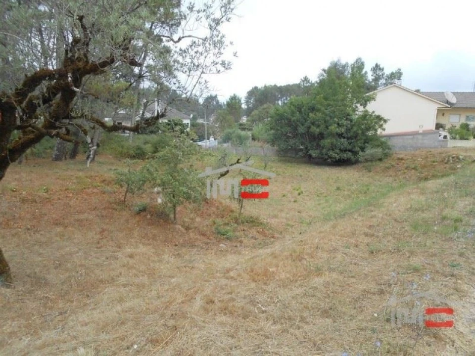 Terreno Misto para Venda em São Mamede Foto 5