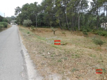 Terreno Misto para Venda em São Mamede