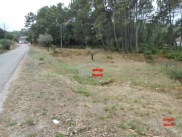 Terreno Misto para Venda em São Mamede