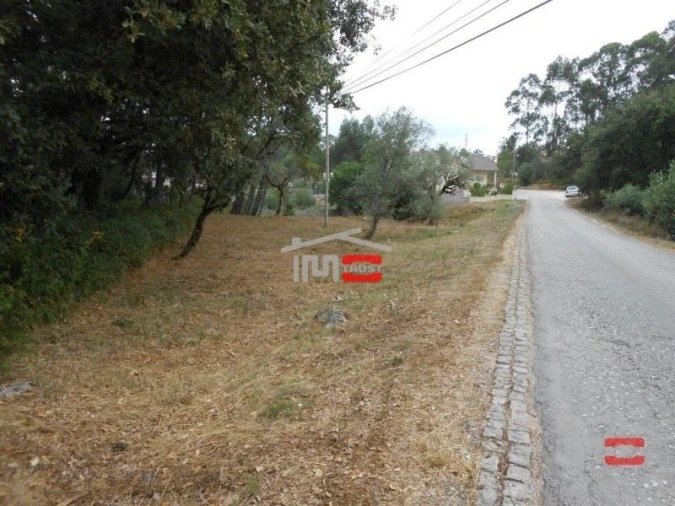 Terreno Misto para Venda em São Mamede Foto 3