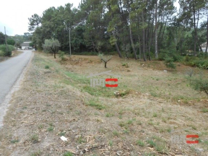Terreno Misto para Venda em São Mamede Foto 8