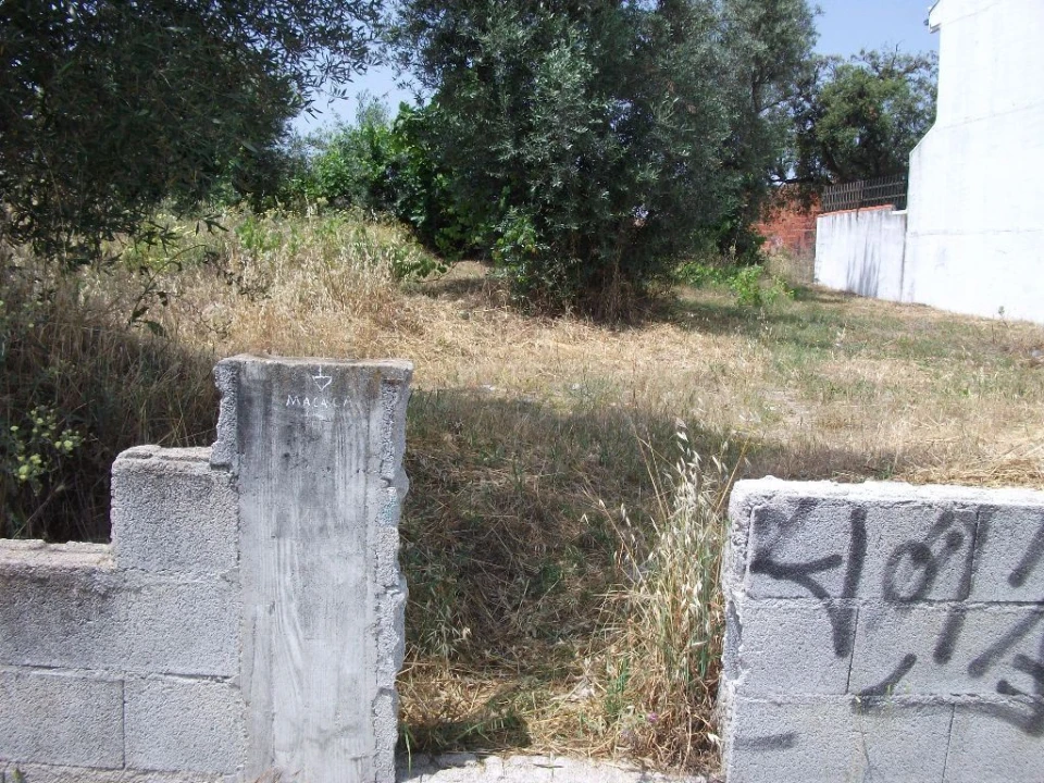 Terreno para Venda em Alcains Foto 1