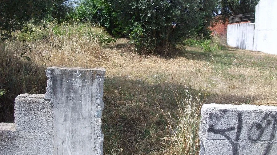 Terreno para Venda em Alcains