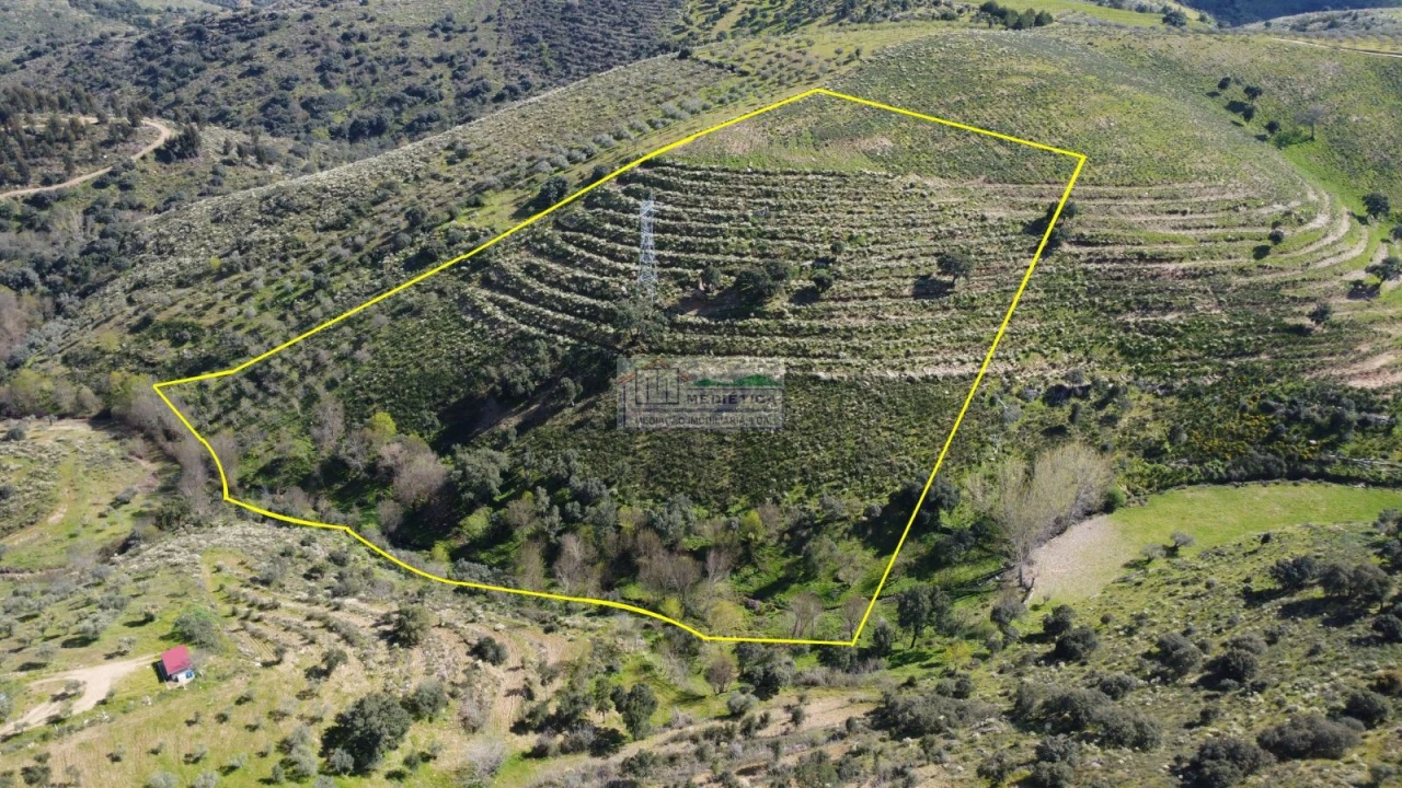 Quinta para Venda em Alfandega da Fe Foto 1