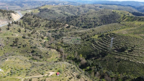 Quinta para Venda em Alfandega da Fe