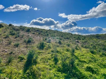 Quinta para Venda em Alfandega da Fe
