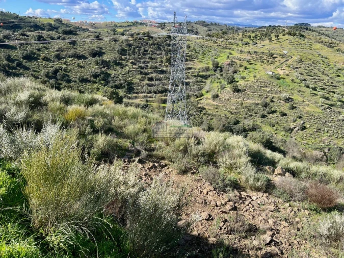 Quinta para Venda em Alfandega da Fe Foto 8