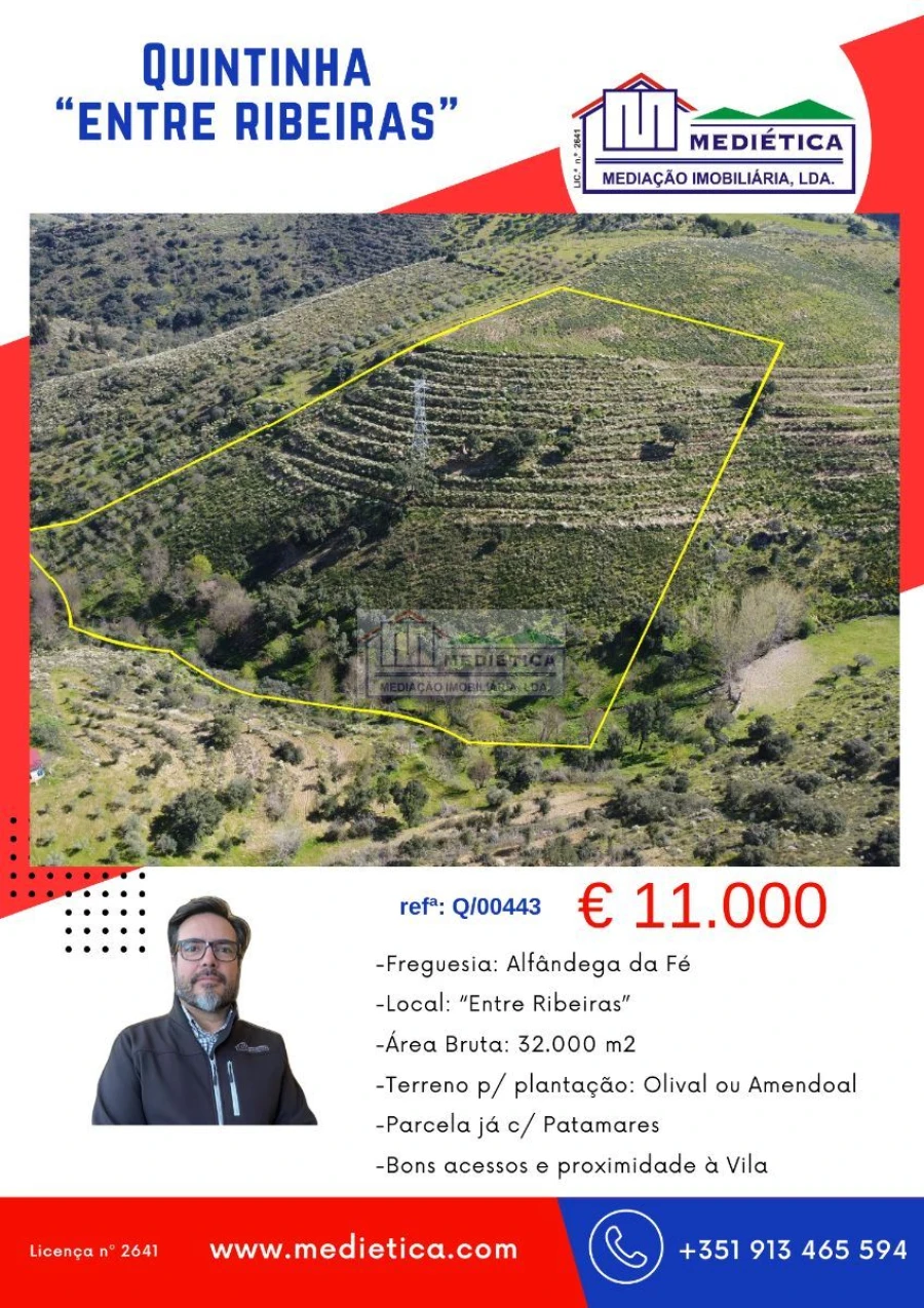 Quinta para Venda em Alfandega da Fe Foto 12