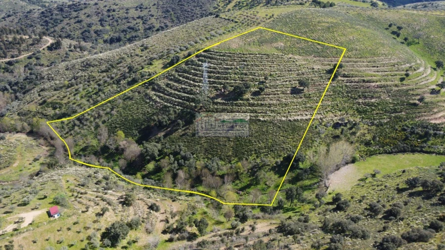 Quinta para Venda em Alfandega da Fe