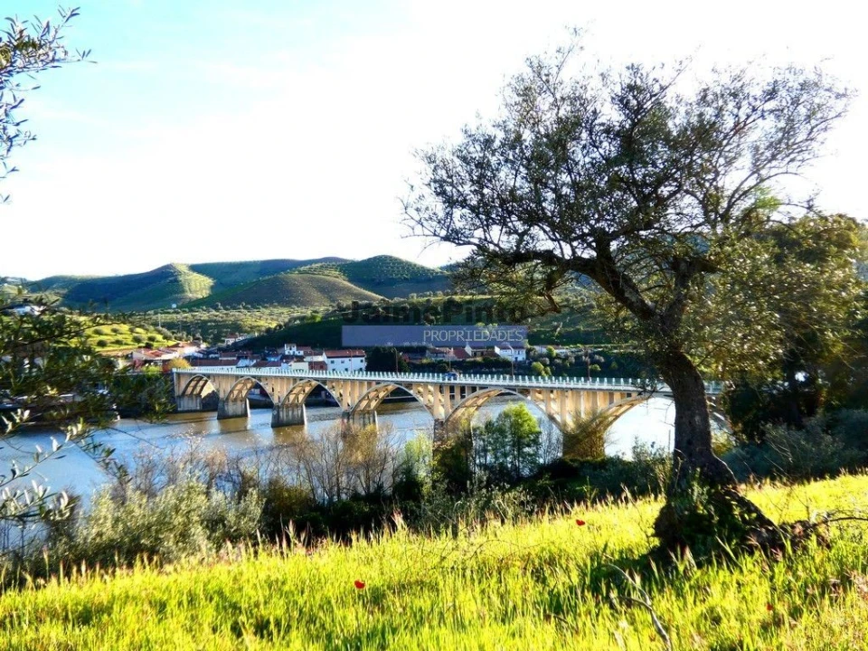 Terreno Agricola ou Rústico para Venda em Escalhão Foto 1