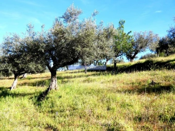 Terreno Agricola ou Rústico para Venda em Escalhão