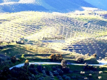Terreno Agricola ou Rústico para Venda em Escalhão