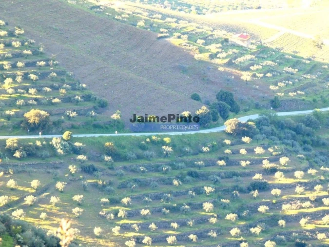 Terreno Agricola ou Rústico para Venda em Escalhão Foto 3