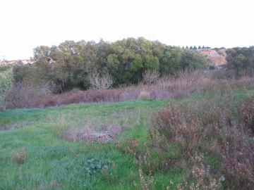 Terreno para Venda em Sesimbra (Castelo)