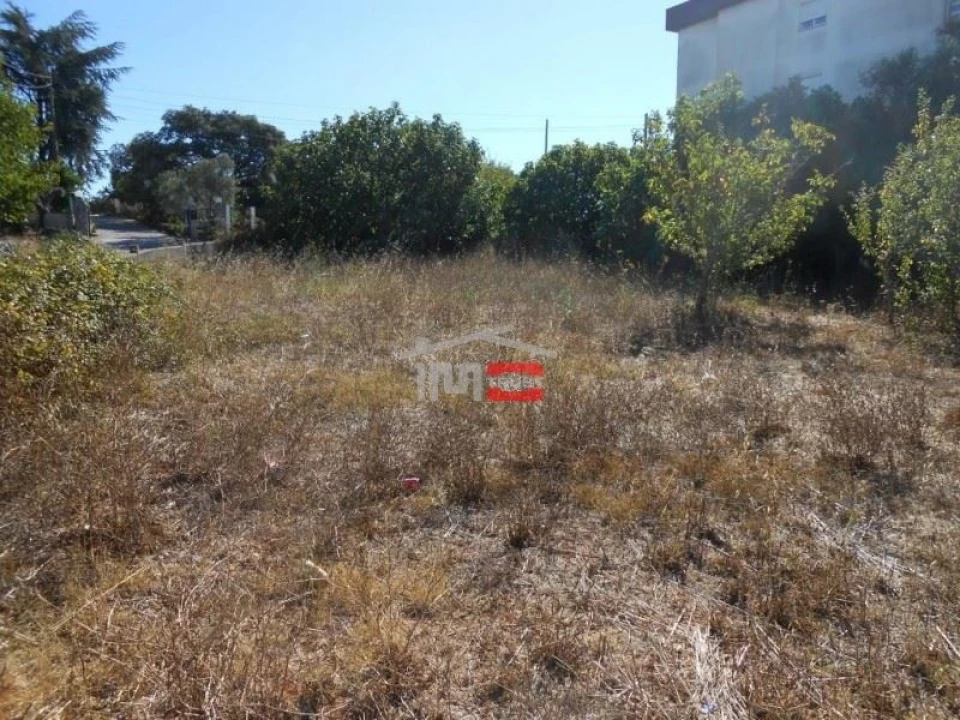 Terreno Misto para Venda em Fatima Foto 5