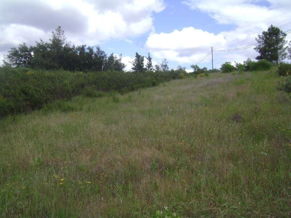 Terreno para Venda em Castelo Branco Foto 11
