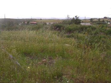 Terreno para Venda em Castelo Branco