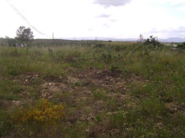 Terreno para Venda em Castelo Branco