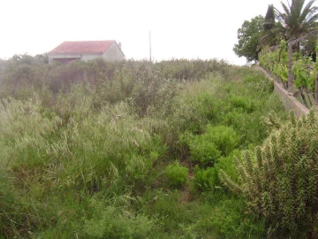 Terreno para Venda em Castelo Branco