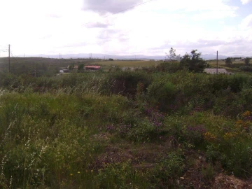 Terreno para Venda em Castelo Branco
