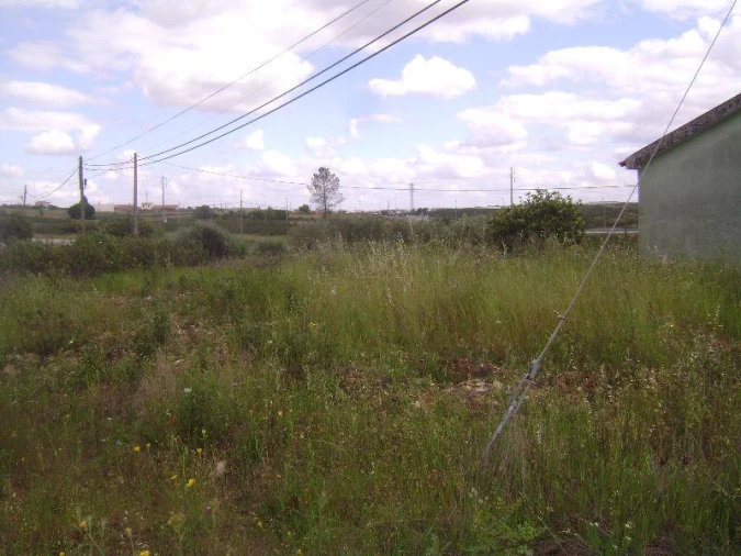 Terreno para Venda em Castelo Branco Foto 3