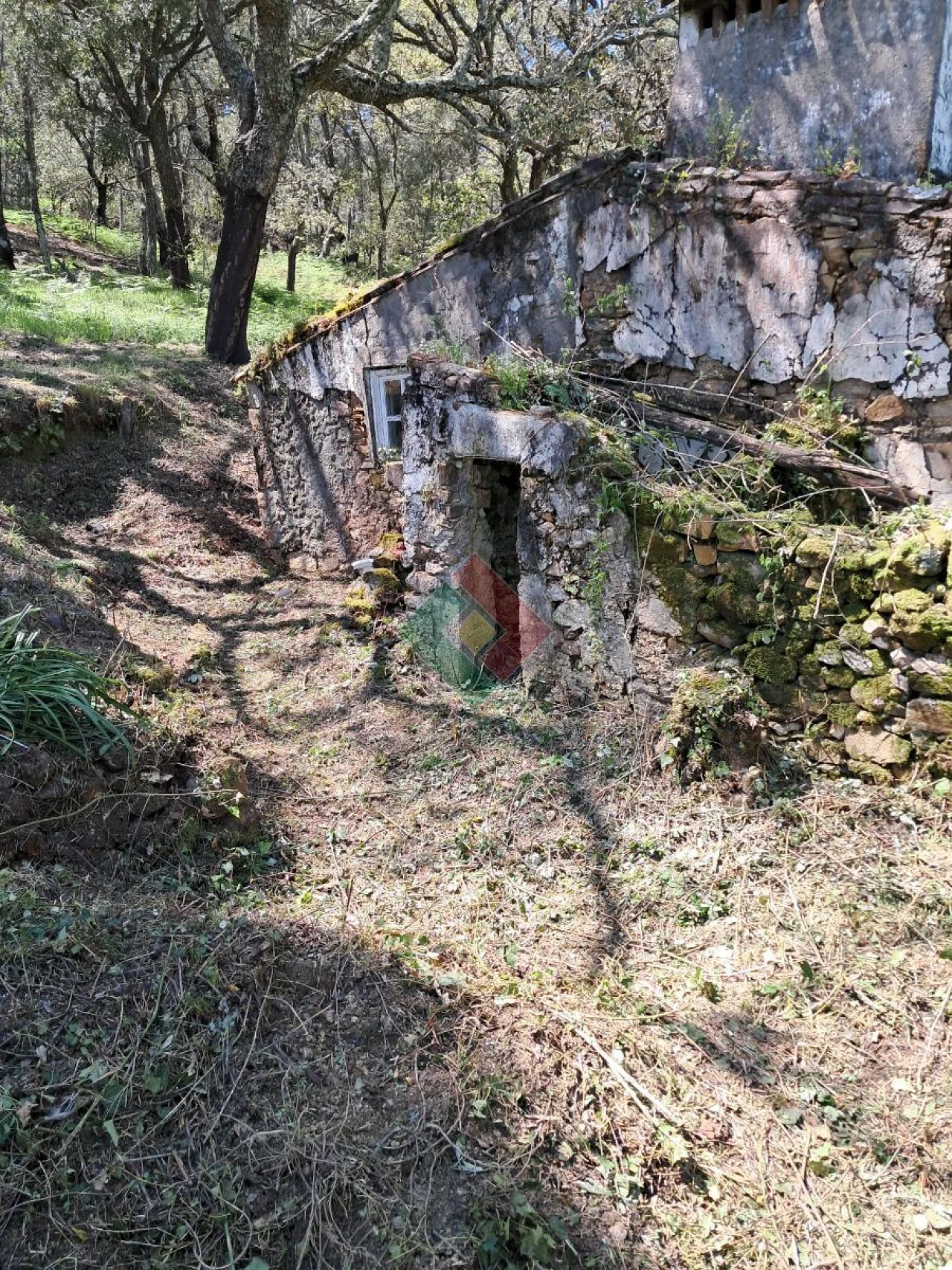 Quinta T5 para Venda em São Salvador da Aramenha Foto 2