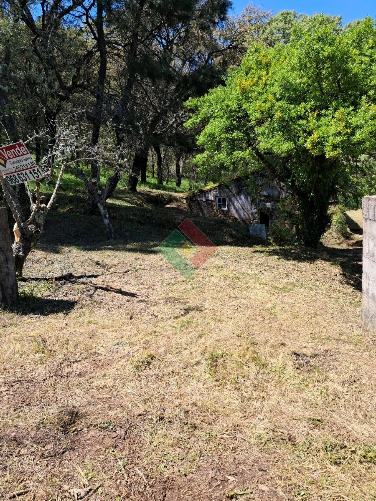 Quinta T5 para Venda em São Salvador da Aramenha Foto 11